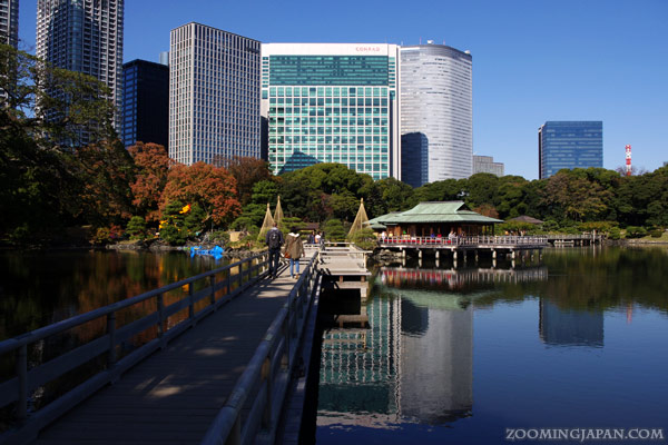 9 Spots to Enjoy Autumn Colors in Tokyo