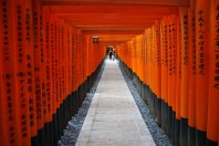 Red Gates of Fushimi Inari Shrine in Kyoto