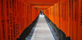 Red Gates of Fushimi Inari Shrine in Kyoto