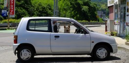 Japanese dog is driving a car?!