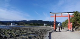 Aoshima Shrine in Miyazaki
