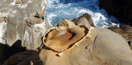 Kameishi rock at Udo Shrine in Miyazaki