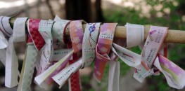Omikuji of a shrine in Hiraizumi