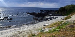 Beach on Yakushima