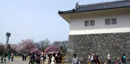 Yamagata Castle (Ninomaru)