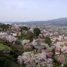 View from the top of Kaminoyama Castle