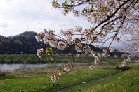 Hanafubuki in Kakunodate, Akita Prefecture