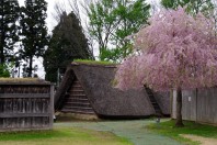 Ne Castle in Hachinohe, Aomori Prefecture