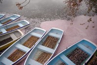 Hirosaki Castle Park, Boat Pier