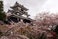 Hamamatsu Castle
