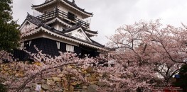 Hamamatsu Castle