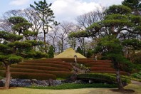 Momijiyama Garden in Shizuoka's Sunpu Park