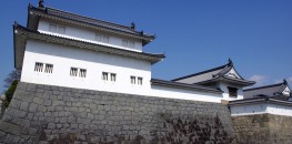 Sunpu Castle in Shizuoka