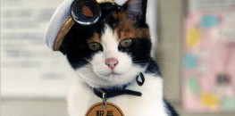 JR Kishi Station Master Tama The Cat