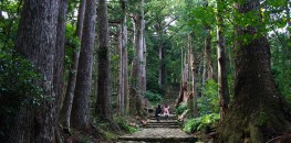 Kumano Kodo Pilgrimage Trails