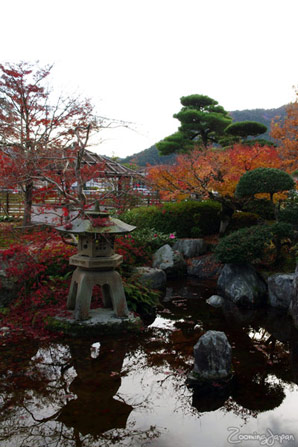autumn colors in Japan