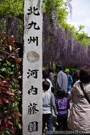 Kawachi Fuji Garden in Kitakyushu