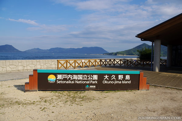Rabbit Island Japan - Okunoshima