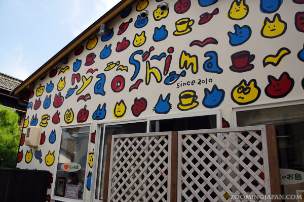 Cat Café Nyaoshima on Naoshima Island