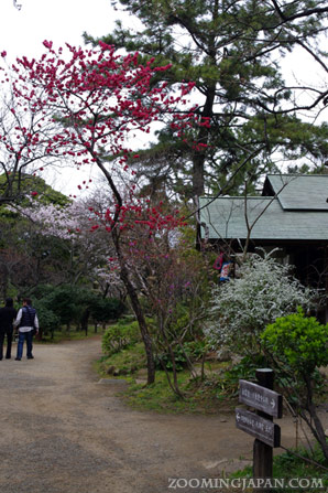 Sankeien Garden Yokohama