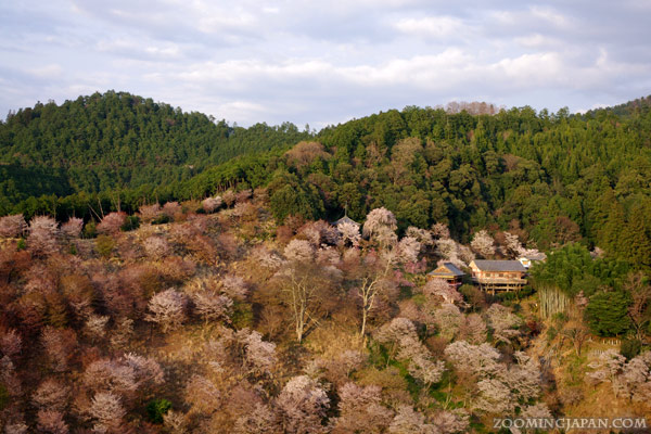 Mount Yoshino in Nara