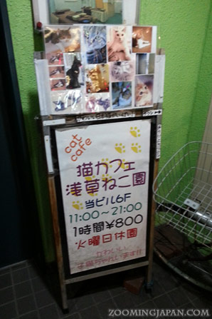Cat Cafe Asakusa Neko-en