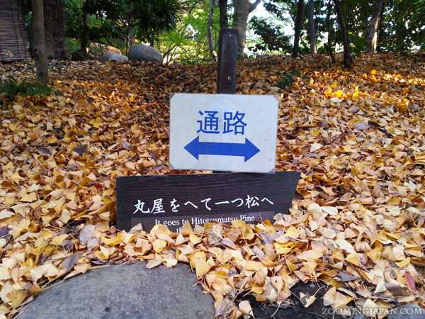 autumn colors in Tokyo - best spots