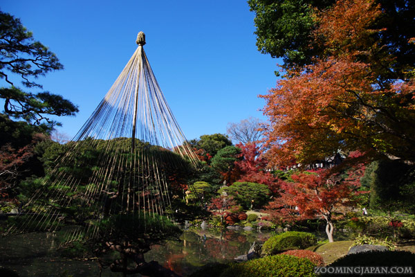 autumn colors in Tokyo - best spots