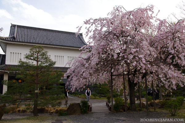 Shoryuji Castle in Kyoto