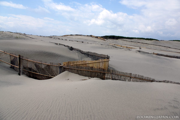 Hamamatsu Nakatajima Sand Dunes