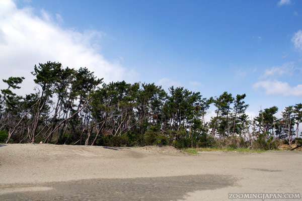 Hamamatsu Nakatajima Sand Dunes