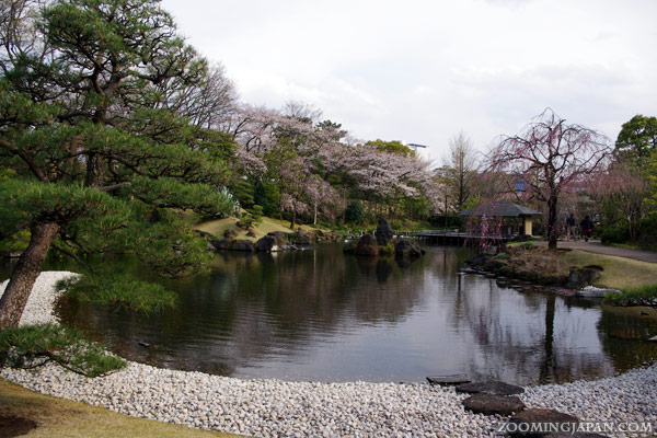 Momijiyama Garden in Shizuoka's Sunpu Park