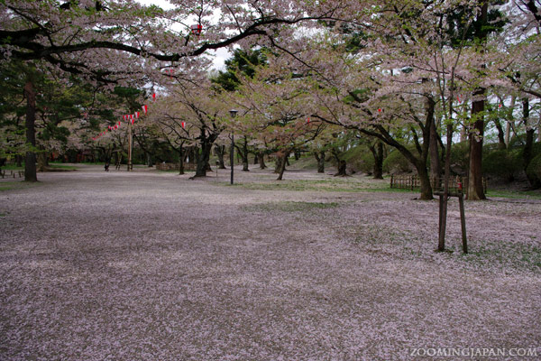 Senshu Park in Akita