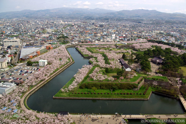 Top Cherry Blossom Spots in Tohoku and Hokkaido