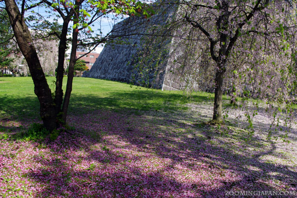 Morioka Castle Site Park